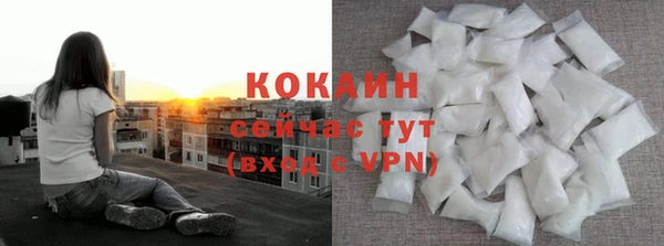 мдпв Каменка