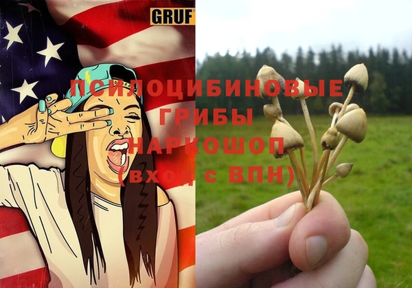 шишки Карталы